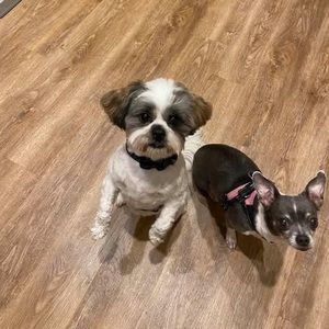 Meet your Posher, Cindy